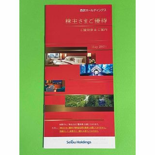 西武ホールディングス　株主優待券　共通割引券　2024年11月30日(その他)