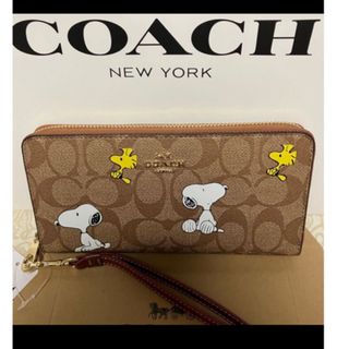 コーチ(COACH)の売り切り。コーチ　スヌーピー　SNOOPY シグネチャー　長財布(財布)