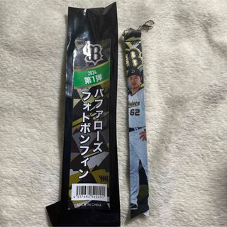 オリックスバファローズ(オリックス・バファローズ)のオリックス・バファローズ フォトボンフィン(スポーツ選手)