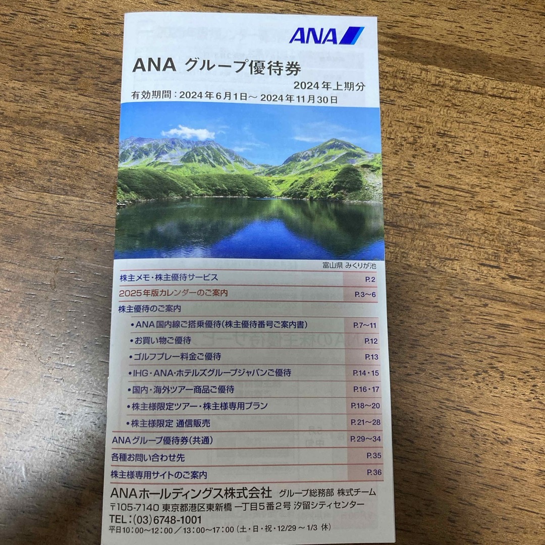 ANA(全日本空輸)(エーエヌエー(ゼンニッポンクウユ))のANAグループ優待券1冊 チケットの優待券/割引券(その他)の商品写真
