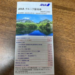 エーエヌエー(ゼンニッポンクウユ)(ANA(全日本空輸))のANAグループ優待券1冊(その他)