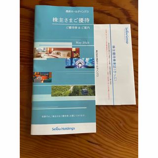 サイタマセイブライオンズ(埼玉西武ライオンズ)の最新　匿名発送　西武　ホールディングス　株主優待　冊子　乗車券２枚(その他)