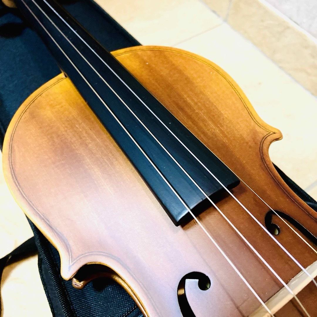 ☆バイオリン☆ HallStatt ハルシュタット　V-12　4/4　フルサイズ 楽器の弦楽器(ヴァイオリン)の商品写真