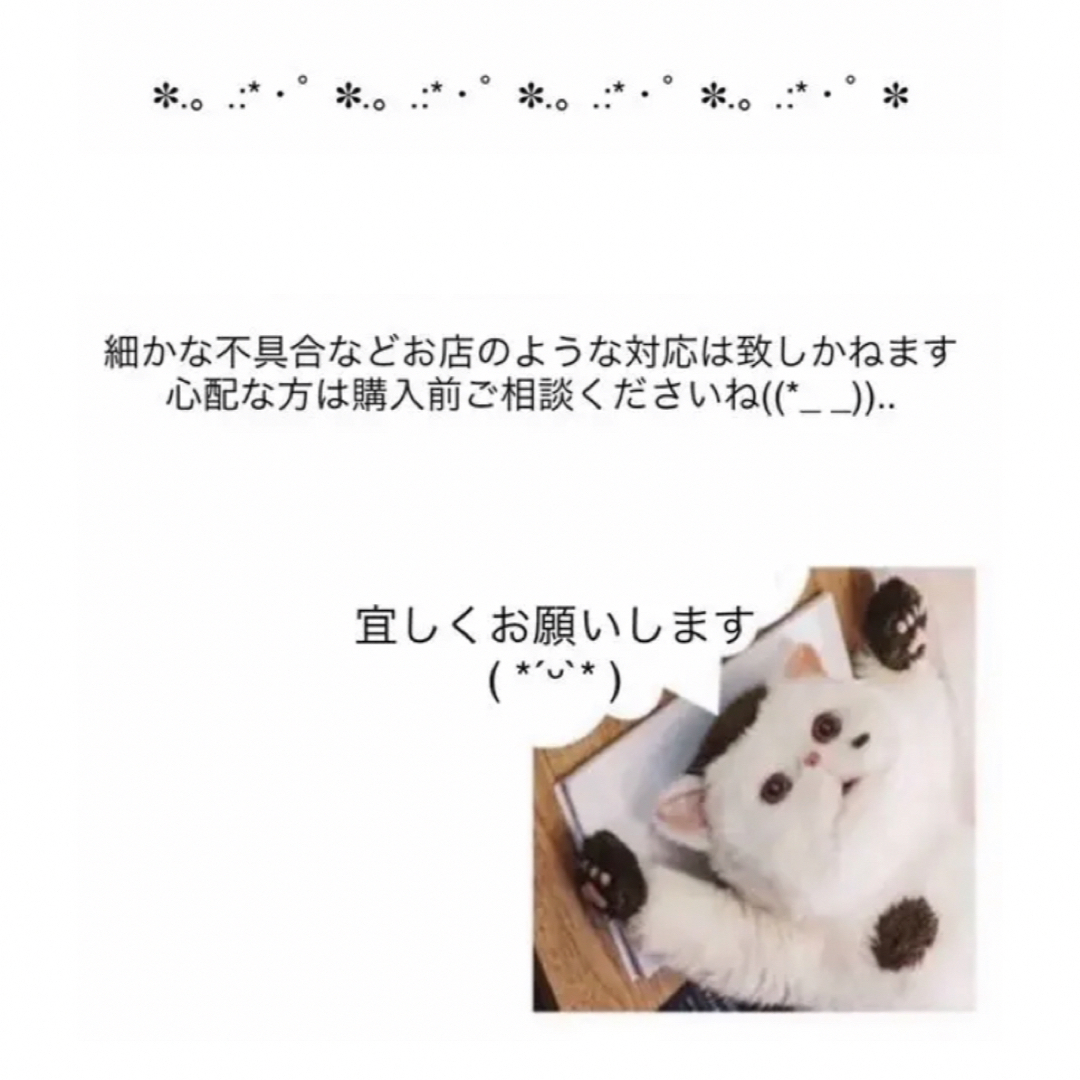 ear PAPILLONNER(イアパピヨネ)の【2点セット】猫のビーチサンダル&バスタオル・ear PAPILLONNER インテリア/住まい/日用品の日用品/生活雑貨/旅行(タオル/バス用品)の商品写真