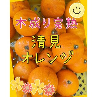 清見オレンジ　【低農薬】　木なり完熟　1キロ　別格で甘い(フルーツ)