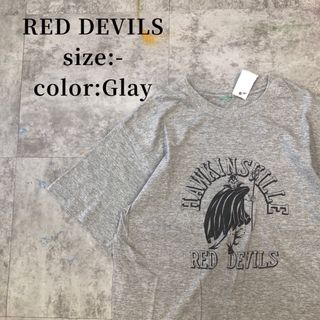 RED DEVILS 半袖Tシャツ M相当 アメカジ 古着 プリント(Tシャツ/カットソー(半袖/袖なし))