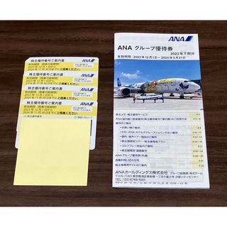 ANA 株式優待(航空券)