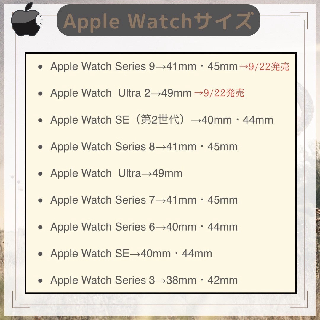 AppleWatch カバー アップルウォッチケース45㎜ Black スマホ/家電/カメラのスマホアクセサリー(iPhoneケース)の商品写真