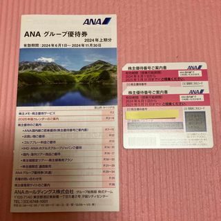 エーエヌエー(ゼンニッポンクウユ)(ANA(全日本空輸))のANA 株主優待券　2枚(その他)