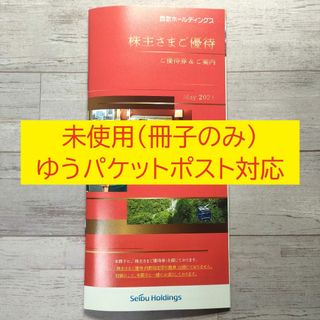 西武HD　割引券 冊子 （1000株向け株主優待）