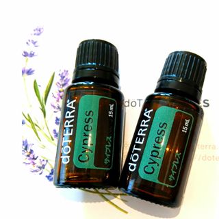 doTERRA　サイプレス【15mL×2本】(エッセンシャルオイル（精油）)