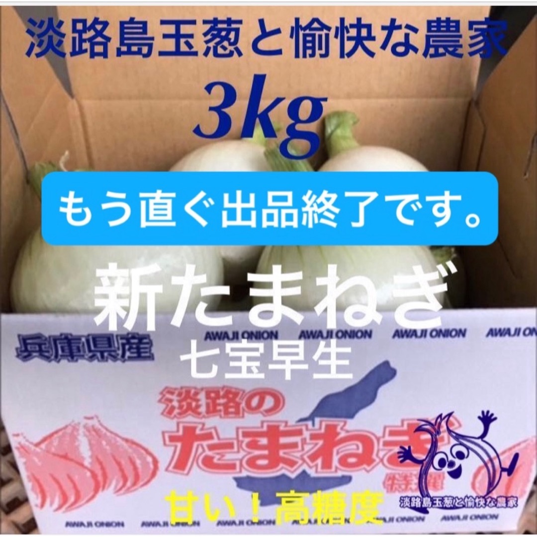 淡路島産 新玉ねぎ 七宝早生 3kg 高糖度 新玉ねぎ 新 たまねぎ 食品/飲料/酒の食品(野菜)の商品写真