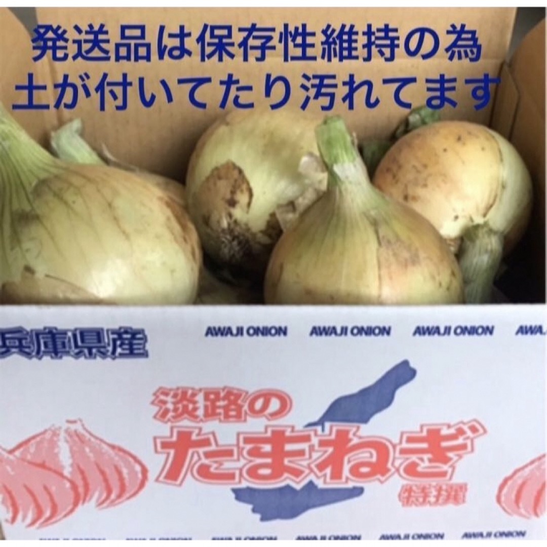 淡路島産 新玉ねぎ 七宝早生 3kg 高糖度 新玉ねぎ 新 たまねぎ 食品/飲料/酒の食品(野菜)の商品写真