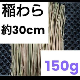 北海道産　稲わら 約30cm カット済  藁 150g 農家直送　2(その他)