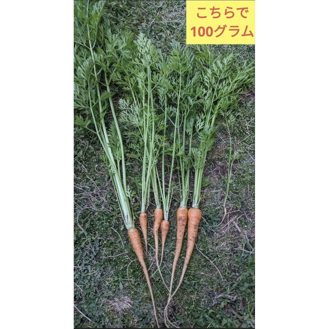 間引き人参　正味300グラム 食品/飲料/酒の食品(野菜)の商品写真