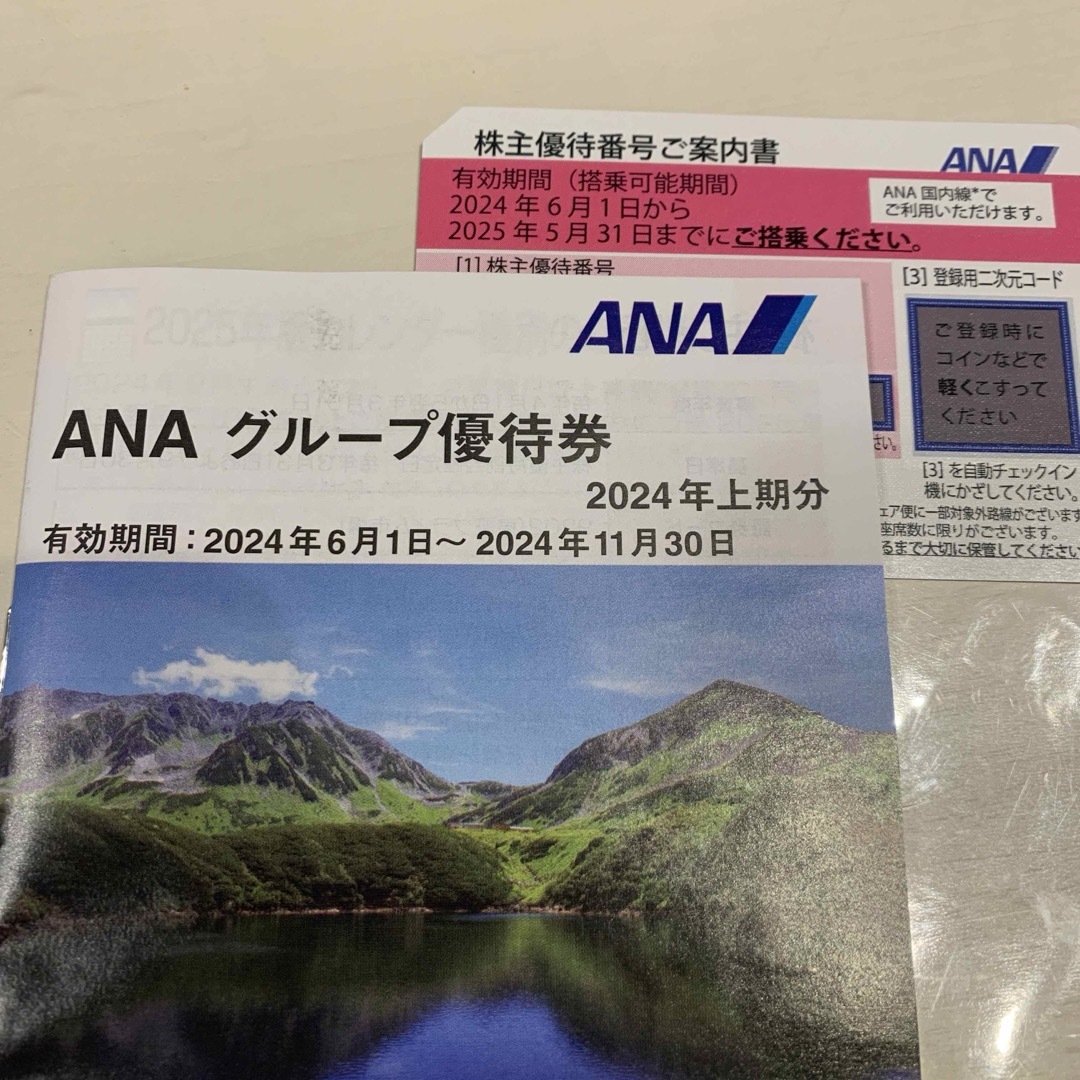 ANA(全日本空輸)(エーエヌエー(ゼンニッポンクウユ))のANA 株主優待 セット 最新 2024.11.30まで チケットの乗車券/交通券(航空券)の商品写真