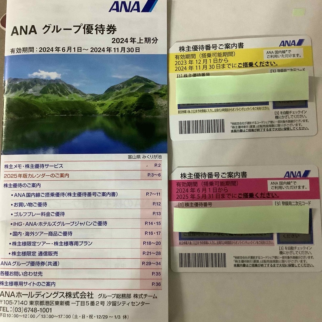 ANA(全日本空輸)(エーエヌエー(ゼンニッポンクウユ))のANA 株主優待 チケットの乗車券/交通券(航空券)の商品写真