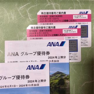 エーエヌエー(ゼンニッポンクウユ)(ANA(全日本空輸))のANA 株式優待　2枚(その他)