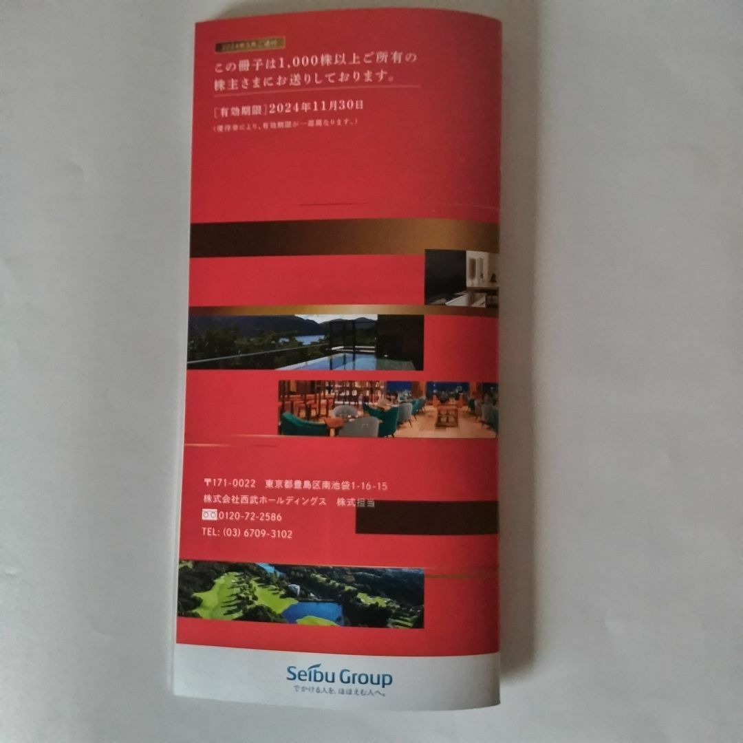 西武ホールディングス株主優待 券 冊子1冊（内野指定席引換券含み共通割引券除く） チケットの優待券/割引券(レストラン/食事券)の商品写真