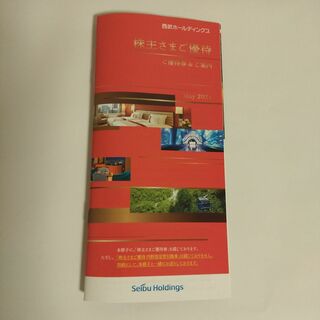 西武ホールディングス株主優待 券 冊子1冊（内野指定席引換券含み共通割引券除く）(レストラン/食事券)