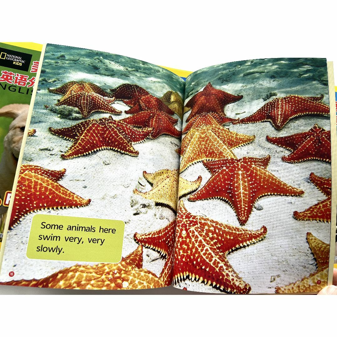 National Geographic Kids 絵本114冊　マイヤペン対応 エンタメ/ホビーの本(絵本/児童書)の商品写真