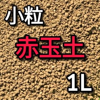 赤玉土 小粒 約1L(その他)