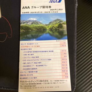 エーエヌエー(ゼンニッポンクウユ)(ANA(全日本空輸))のANAグループ優待券　株主優待(その他)