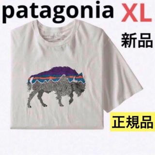 ⭐️レア⭐️patagonia⭐️バックフォーグッドオーガニックTシャツ⭐️XL