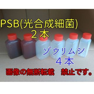 めだかの餌(２種類)　３３ml ×６本　#PSB　 #めだか#ミジンコ#針子#餌(アクアリウム)