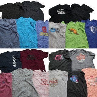古着卸 まとめ売り カラーmix プリント 半袖Tシャツ 20枚セット (メンズ 2XL /3XL ) 英字ロゴ  ワンポイント スターウォーズ MS9768(その他)