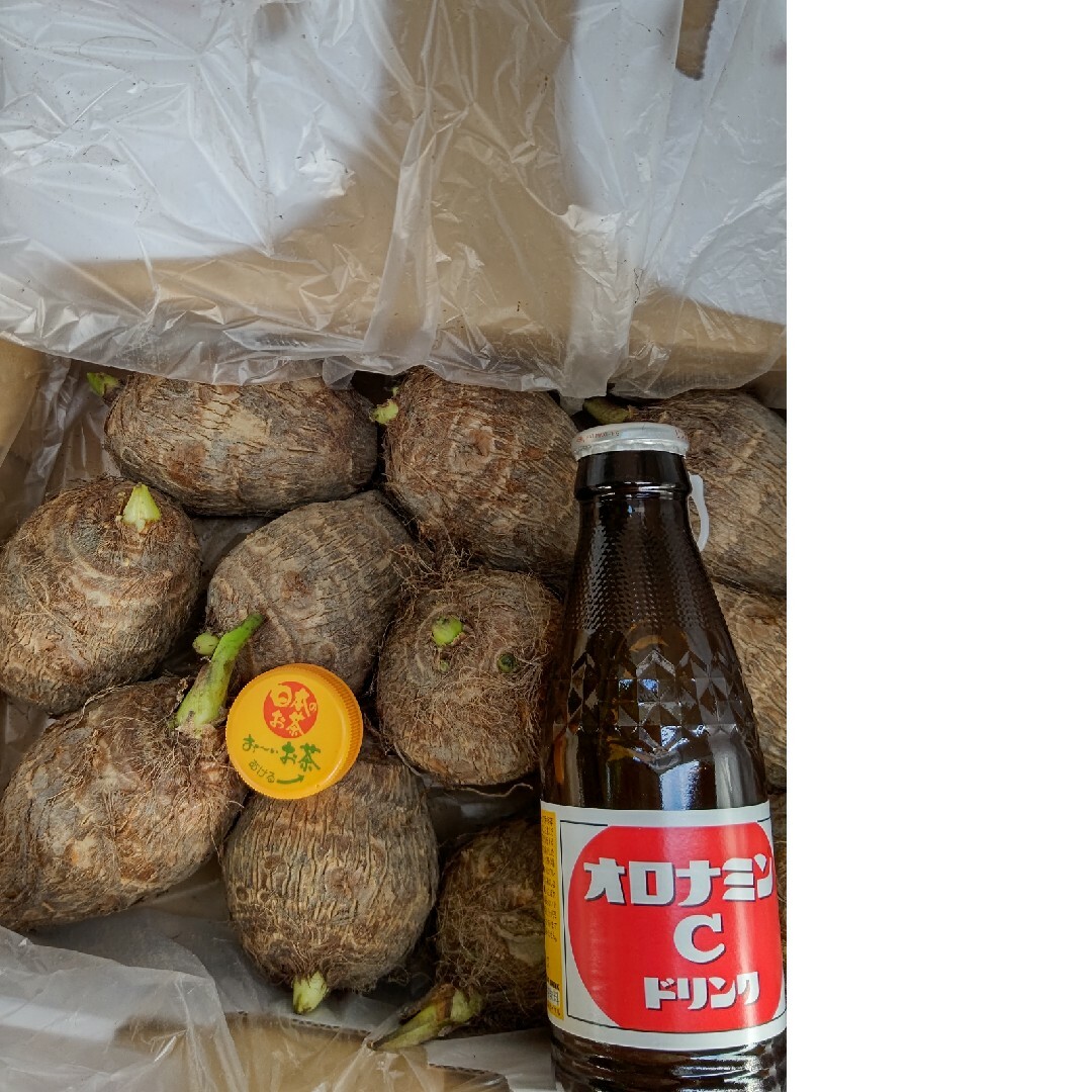 愛媛県産里芋の種芋L～LLサイズ2kg ハンドメイドのフラワー/ガーデン(プランター)の商品写真