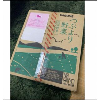 カゴメ　つぶより野菜　30本　野菜ジュース　2025年4月期限(その他)