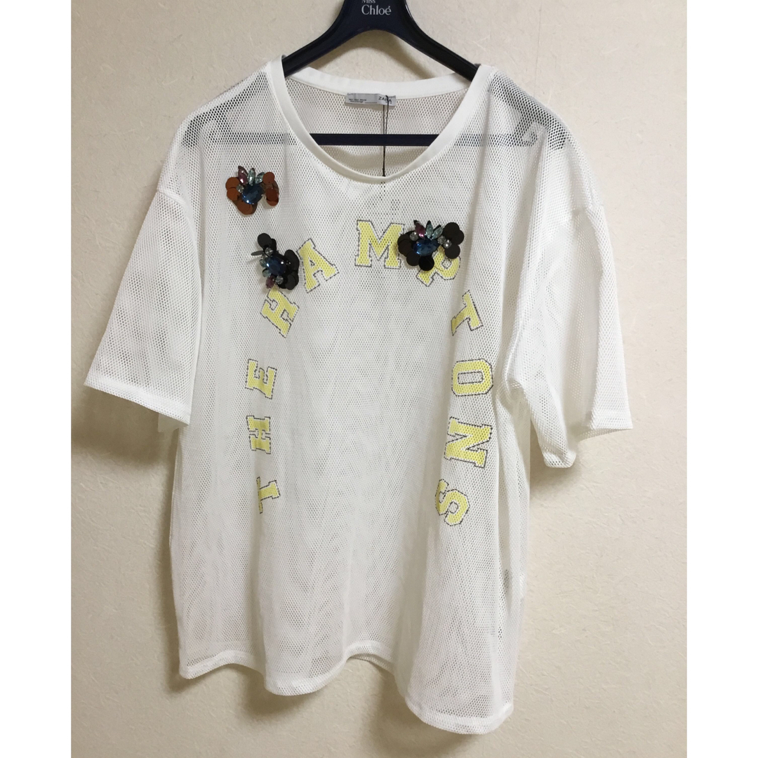 ZARA(ザラ)のZARA メッシュ　Tシャツ　❤︎  L〜3L 大きいサイズの方も レディースのトップス(Tシャツ(半袖/袖なし))の商品写真