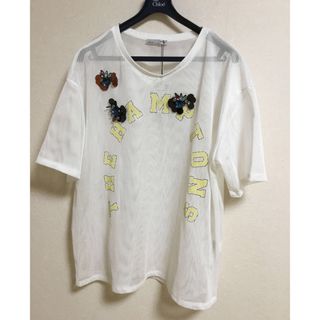 ZARA - ZARA メッシュ　Tシャツ　❤︎  L〜3L 大きいサイズの方も