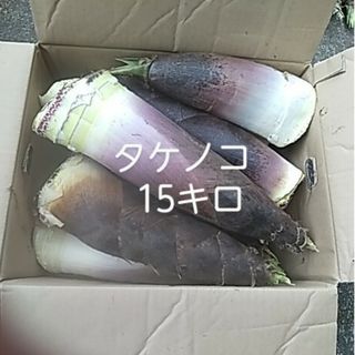 タケノコ 詰め合わせ 竹の子 筍(野菜)