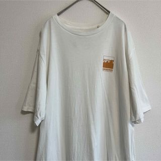 パタゴニア(patagonia)のパタゴニア　Patagonia Tシャツ (Tシャツ/カットソー(半袖/袖なし))