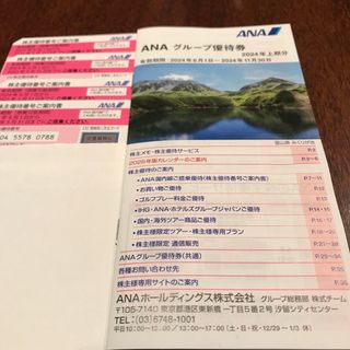 エーエヌエー(ゼンニッポンクウユ)(ANA(全日本空輸))のANAグループ優待券1冊株主優待搭乗券4枚(その他)