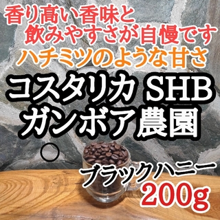 コスタリカ SHB ブラックハニー 200g 自家焙煎 コーヒー豆 注文後焙煎(コーヒー)