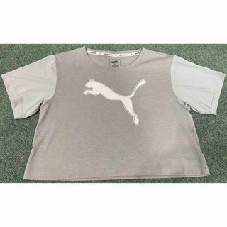 プーマ(PUMA)のPUMA 半袖 Tシャツ グレー  DRYCELL 吸汗速乾 140(Tシャツ/カットソー)