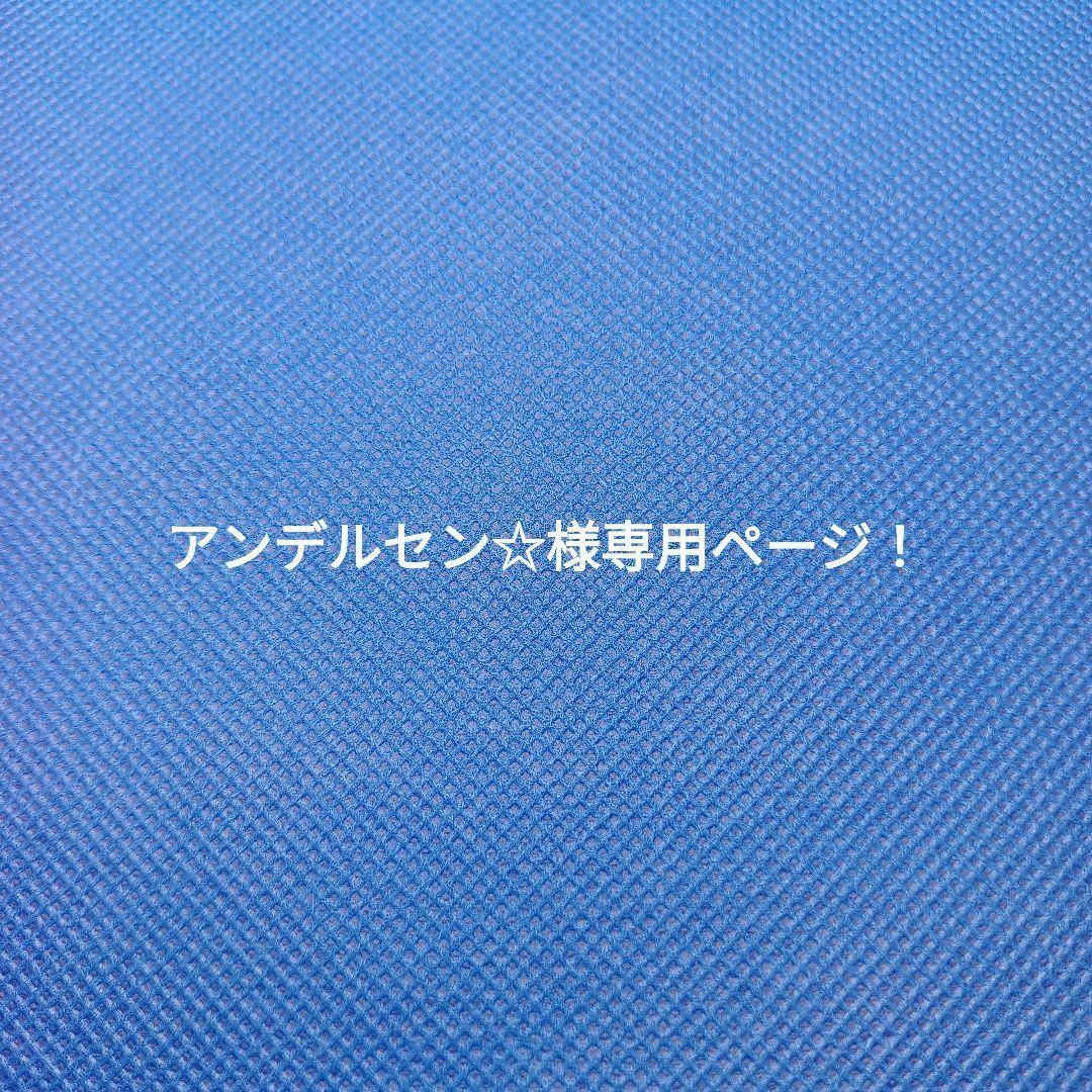 アンデルセン☆様専用ページ！ ハンドメイドのファッション小物(その他)の商品写真