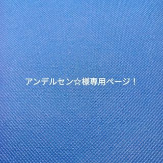 アンデルセン☆様専用ページ！(その他)