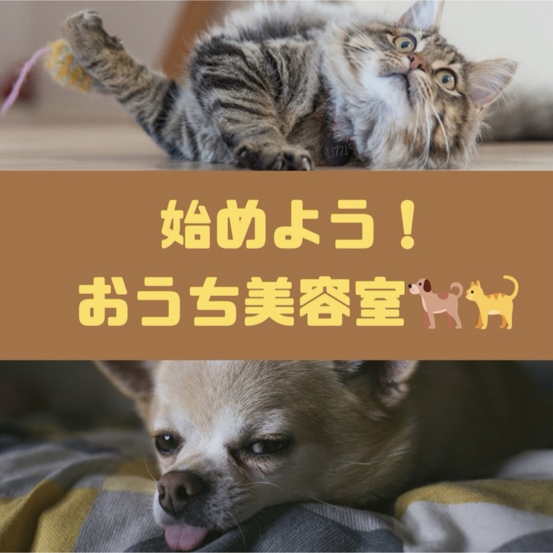 ペット用　トリミング　犬猫用  　ペットハサミ トリマー  カット  6点セット その他のペット用品(犬)の商品写真