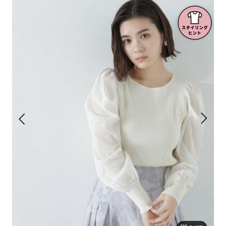 ナチュラルビューティーベーシック(NATURAL BEAUTY BASIC)のシアーボリュームスリープニット(Tシャツ(長袖/七分))