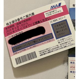 エーエヌエー(ゼンニッポンクウユ)(ANA(全日本空輸))のANA 株主優待カード(その他)