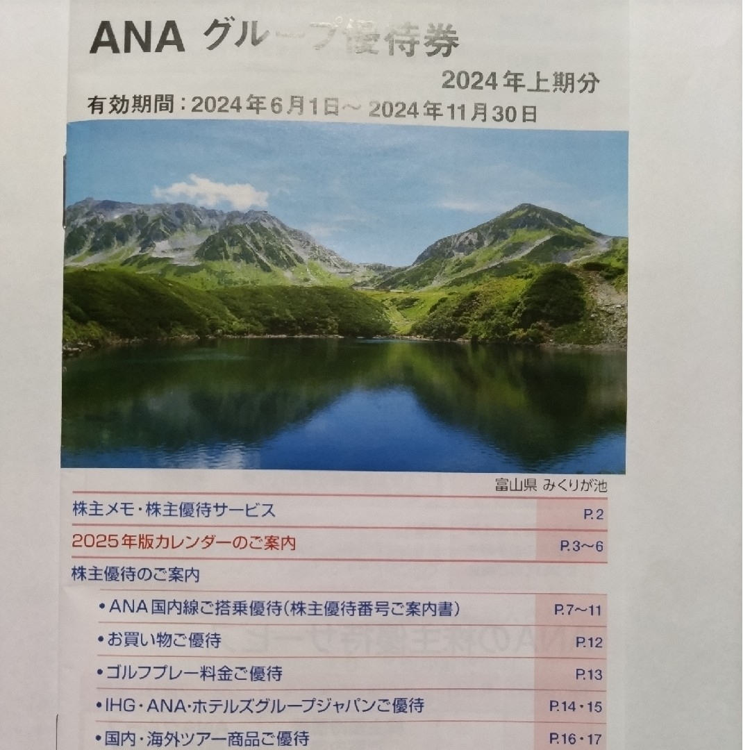 ANA(全日本空輸)(エーエヌエー(ゼンニッポンクウユ))のANA株主優待券 2枚 とグループ株主優待券 チケットの乗車券/交通券(航空券)の商品写真