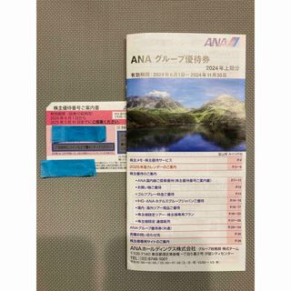 エーエヌエー(ゼンニッポンクウユ)(ANA(全日本空輸))のANA株主優待券x1  2025年5/31まで（＋グループ優待券）(その他)