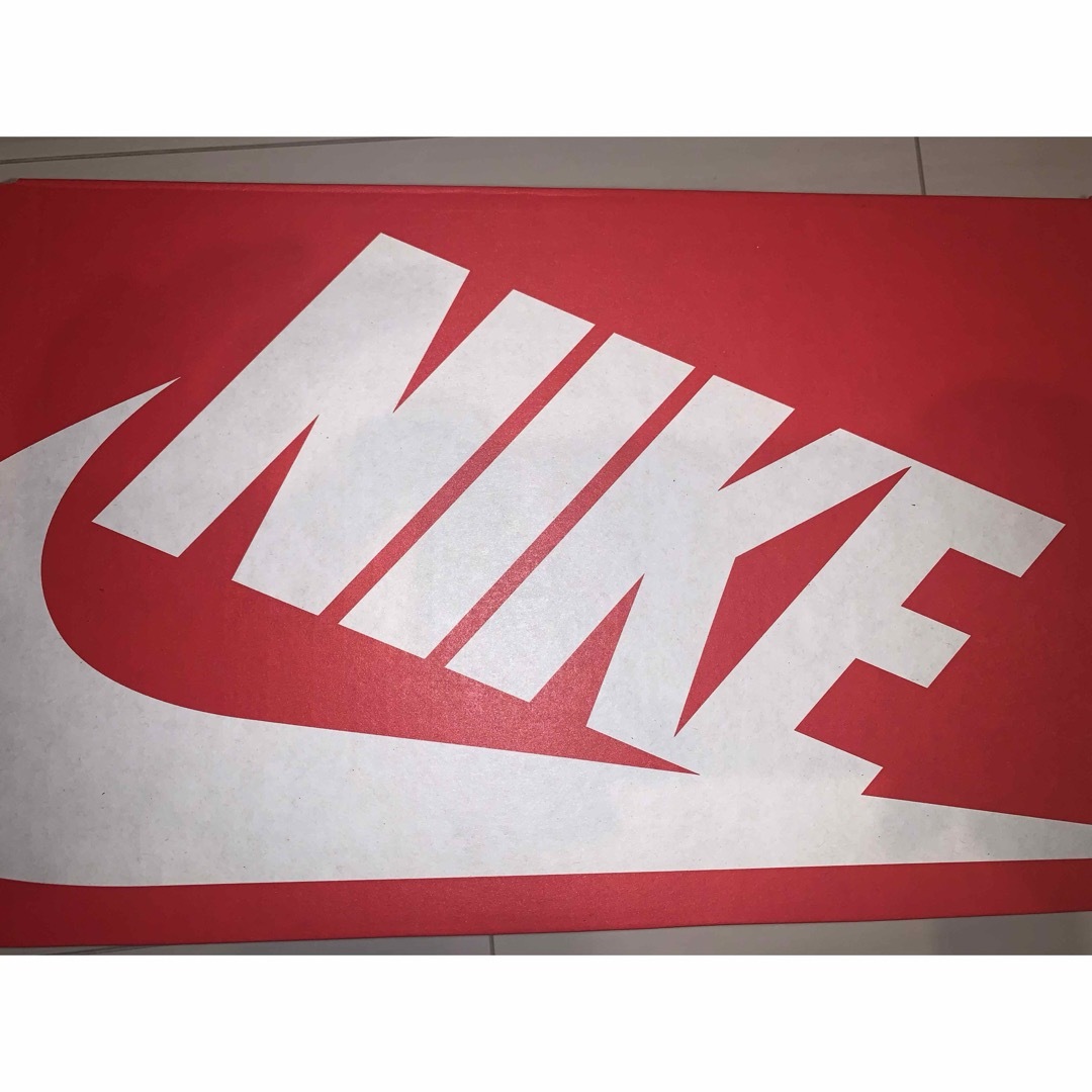 NIKE(ナイキ)のナイキ　エア マックス エクシー CD5432-009 レディースの靴/シューズ(スニーカー)の商品写真