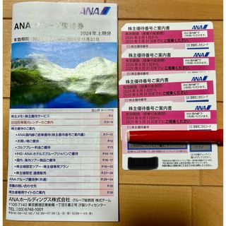 エーエヌエー(ゼンニッポンクウユ)(ANA(全日本空輸))のANA株主優待(その他)