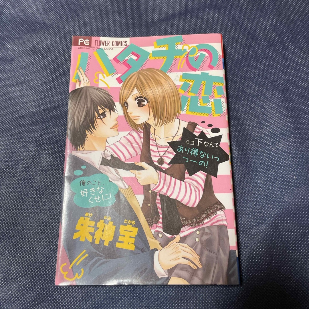 ハタチの恋 エンタメ/ホビーの漫画(少女漫画)の商品写真