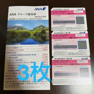 エーエヌエー(ゼンニッポンクウユ)(ANA(全日本空輸))のANA 株主優待券3枚とグループ優待券1冊(その他)